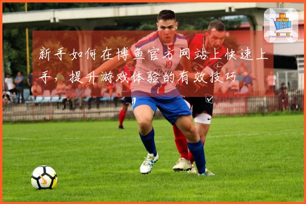 新手如何在博鱼官方网站上快速上手，提升游戏体验的有效技巧